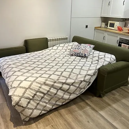 Apartamento Bermudo Iii Plaza Mayor De *